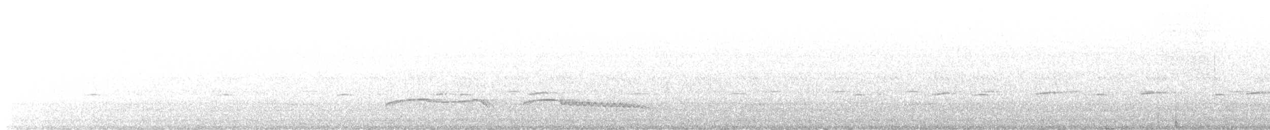Höhennachtschwalbe (poliocephalus) - ML522677381