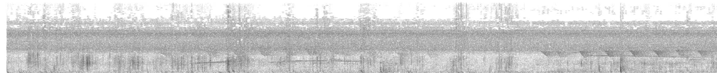 Nacktstirn-Ameisenvogel - ML522682171