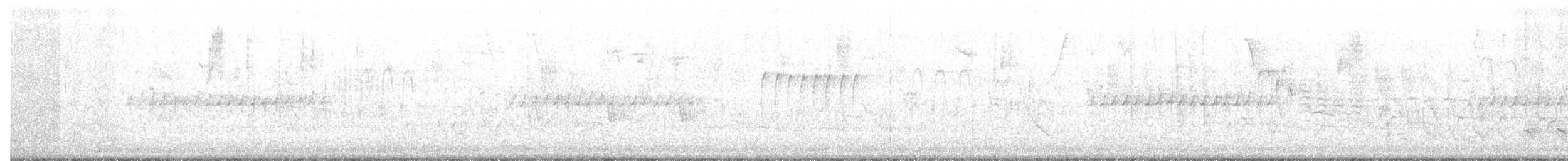 Fischadler (carolinensis) - ML52270411