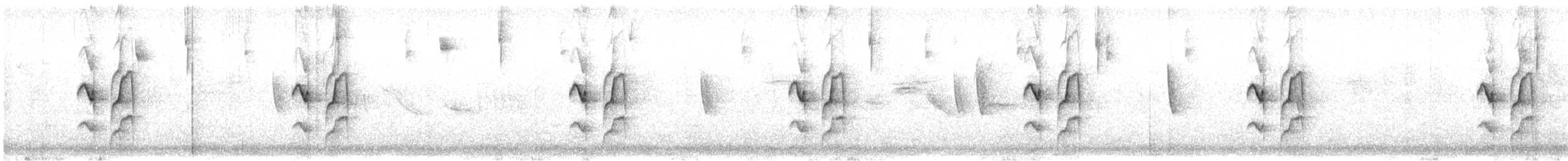 Graustirn-Dickichtschlüpfer - ML522730981