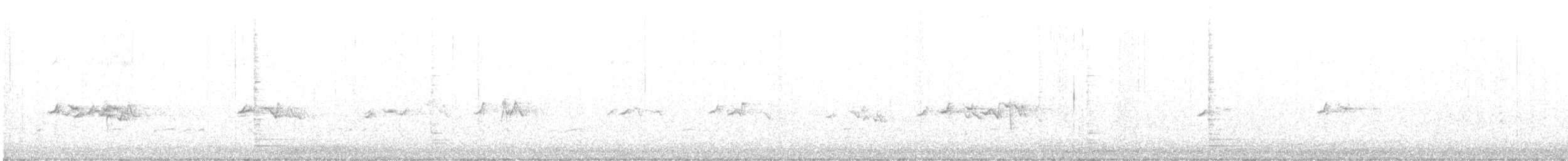 Смеречник тайговий - ML522812571