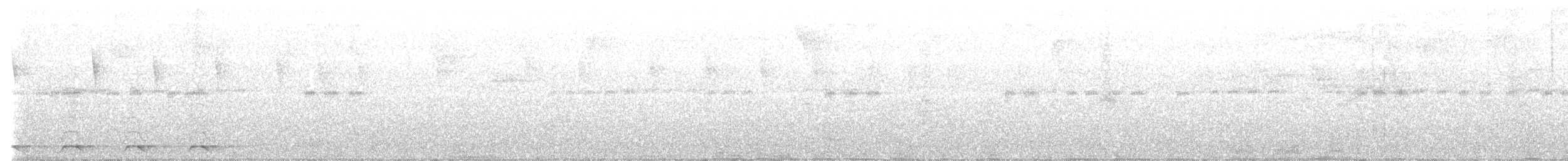 Blue-tailed Trogon - ML522848061