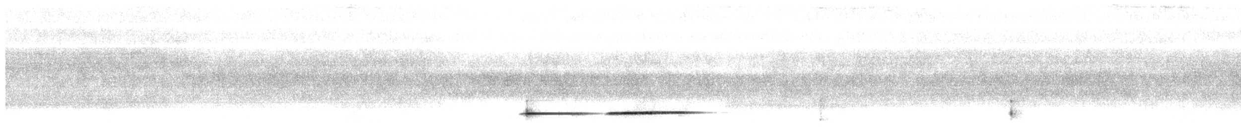 Віялохвіст білогорлий - ML522860251