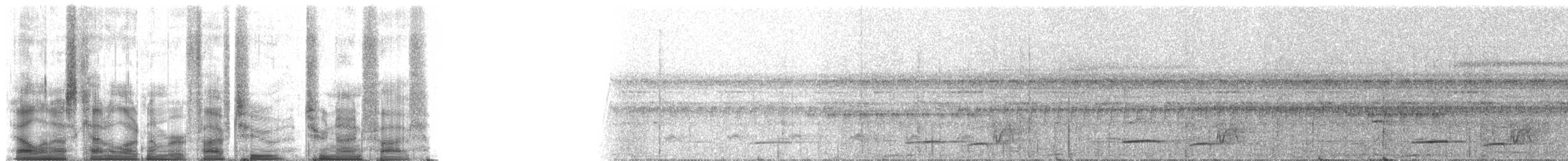 Broad-billed Motmot (Plain-tailed) - ML52295
