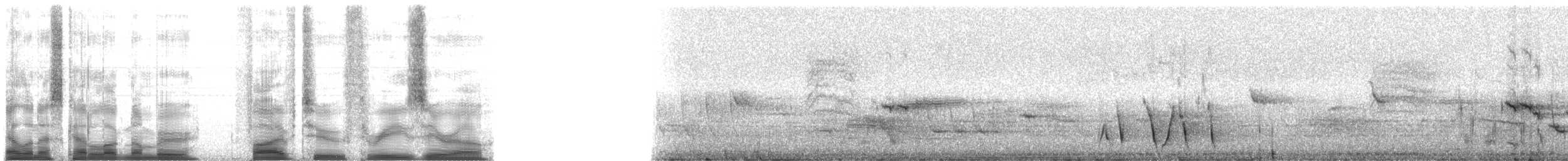 Picchion cramoisi - ML5230