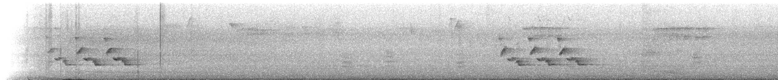 Каролинский крапивник - ML523002481