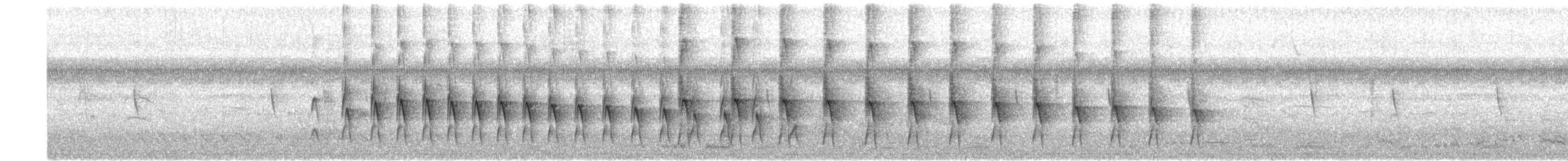 Plain Thornbird - ML523014911