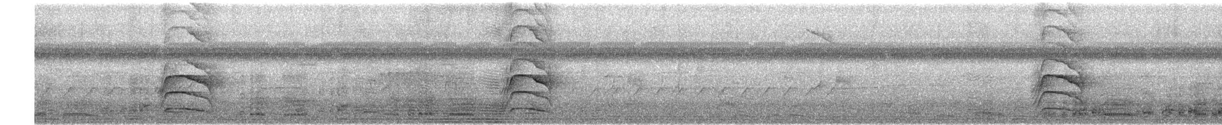 Great Kiskadee - ML523014951