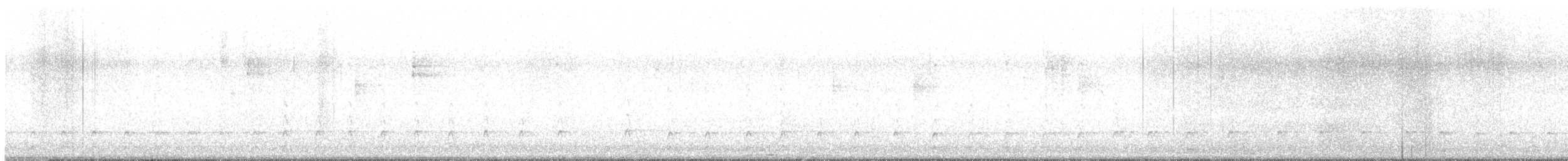 hvitbrynsvartspett - ML523025001