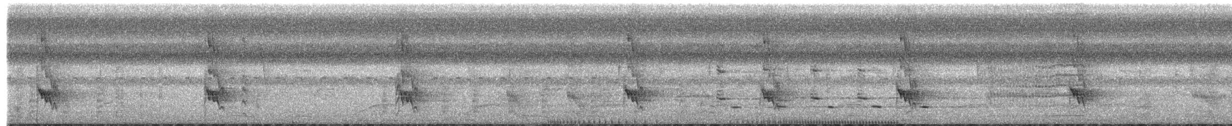 Pabuç Gagalı Tiran - ML523061361