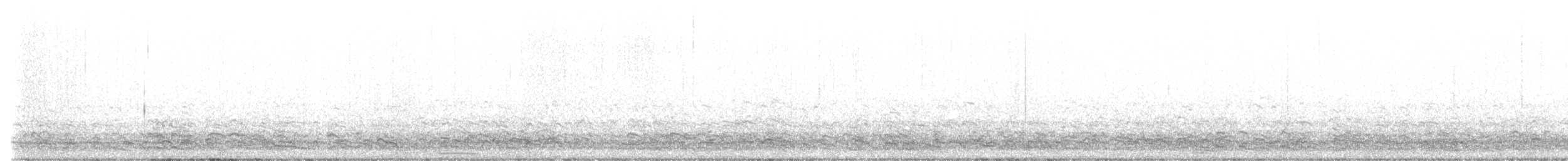אווז לבן-מצח - ML523094001