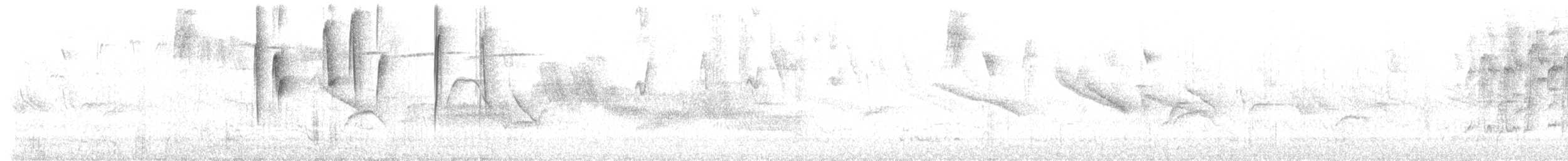 Alev Karınlı Dağ Tangarası (igniventris) - ML523105511