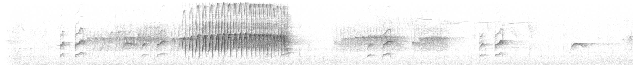 Корпуана плямистощока - ML523106261