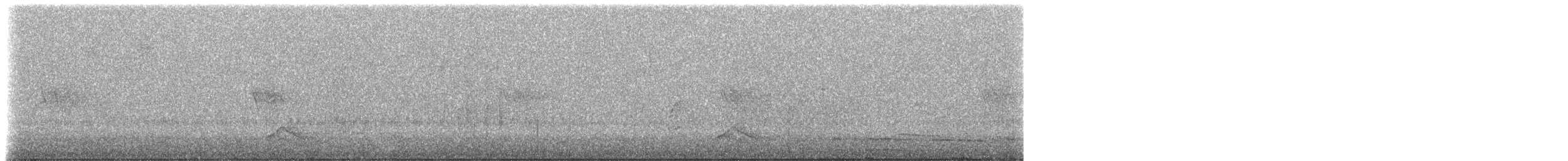 Tinamou à capuchon - ML523108371