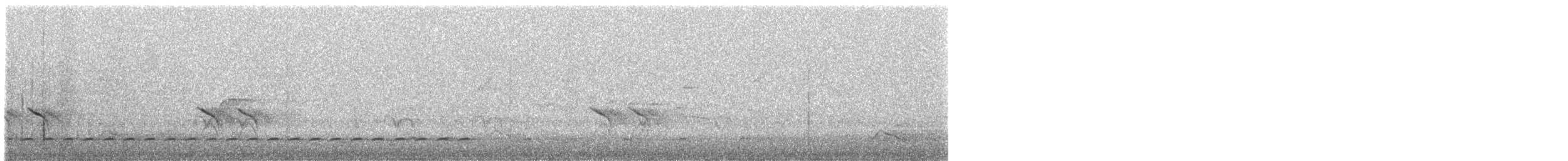 Bindenbrust-Ameisendrossel - ML523108391