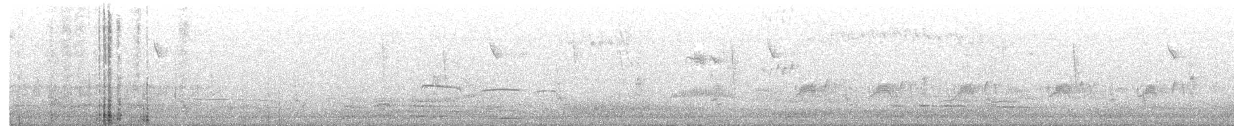 キバラメグロハエトリ（pusillum グループ） - ML523113231