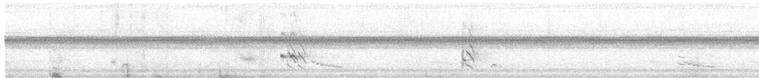 Timalie coiffée - ML523113361