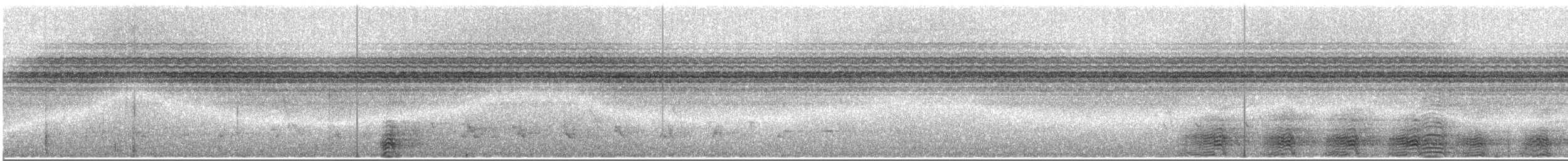 gråkinnhornfugl - ML523124111