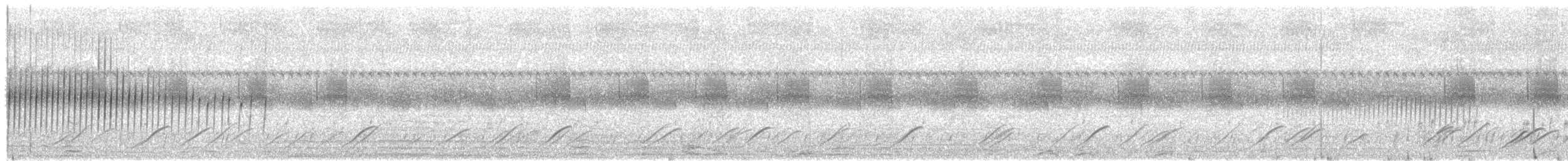 Sichelschwingen-Nachtschwalbe - ML523128091