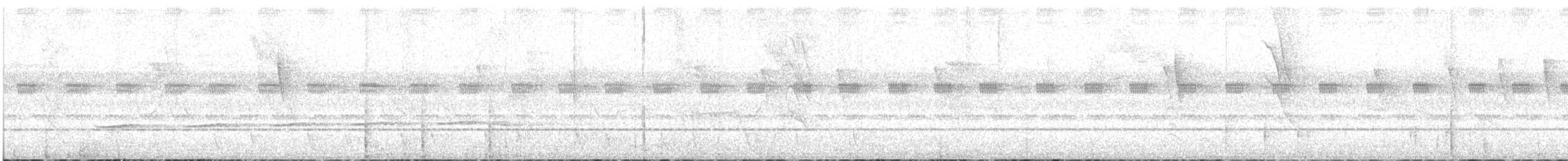 Striped Cuckoo - ML523148771
