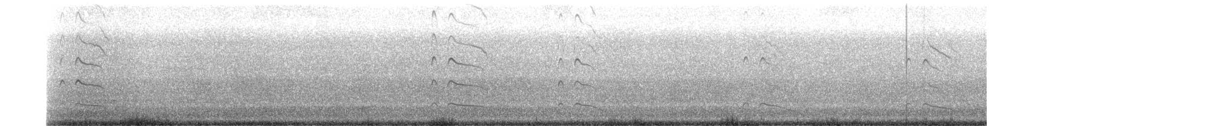 Avustralya Kara Poyrazkuşu - ML523171621