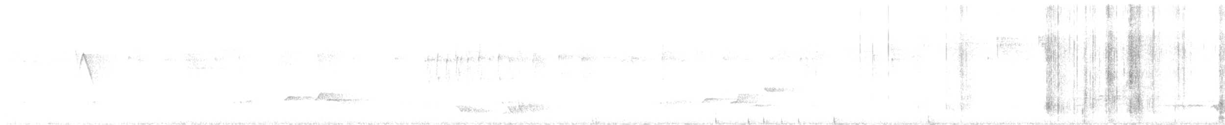 Beyaz Belli Şama - ML523198681