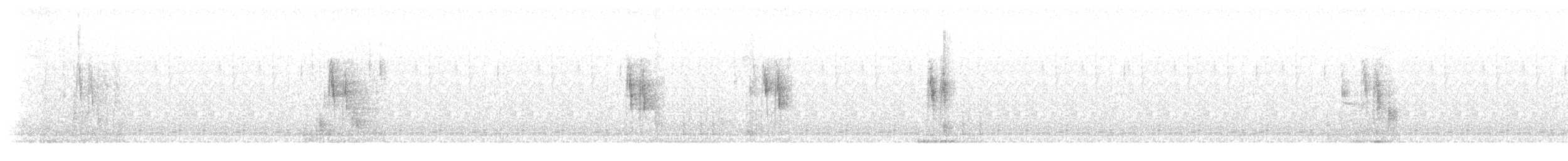 Bergeronnette grise (alba/dukhunensis) - ML523207201