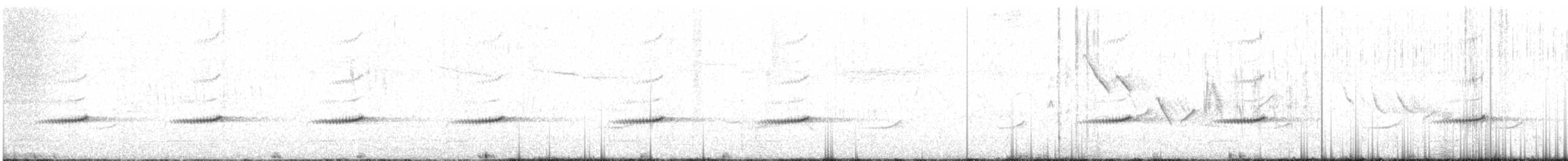 Barred Wren-Warbler - ML523209401