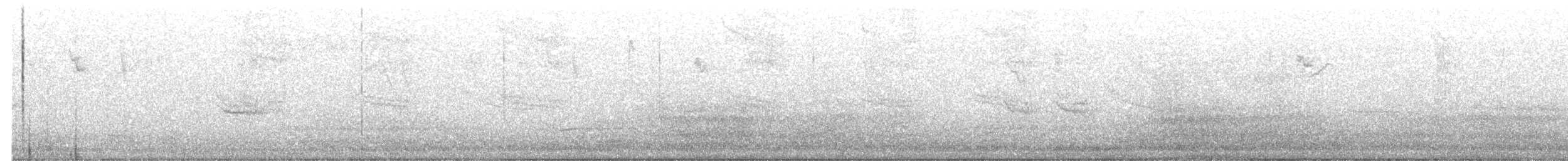 holub bledočelý [skupina verreauxi] - ML523226191