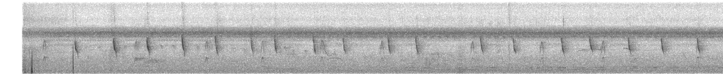 Northern/Mangrove Yellow Warbler - ML523241791