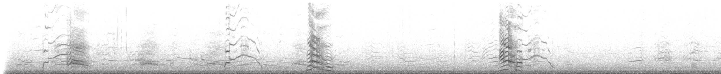 Делавэрская чайка - ML52324831