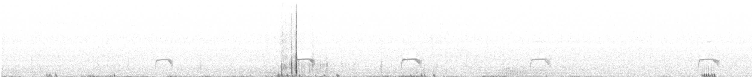 Schmalspiegel-Nachtschwalbe - ML523252431