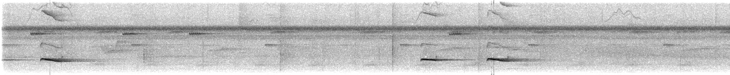 Kestane Sırtlı Karıncakuşu - ML523253181