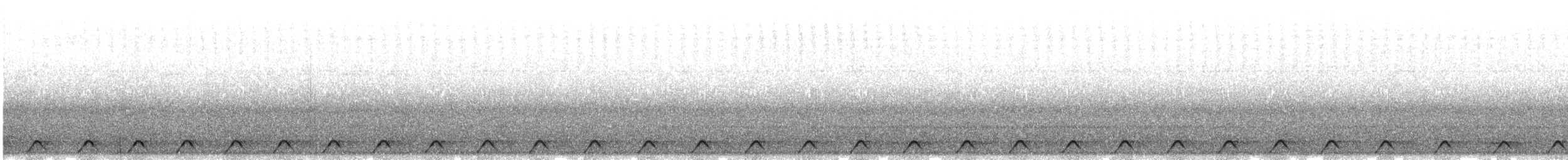 Дрімлюга плямистий - ML523255081