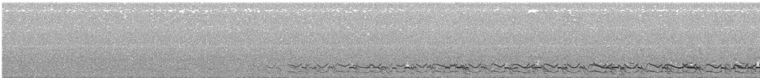 Puna Tinamou - ML523260621