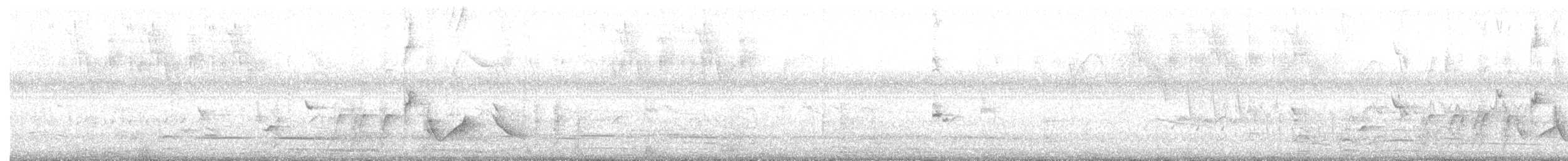 Pepitero Grisáceo del Caribe - ML523289471