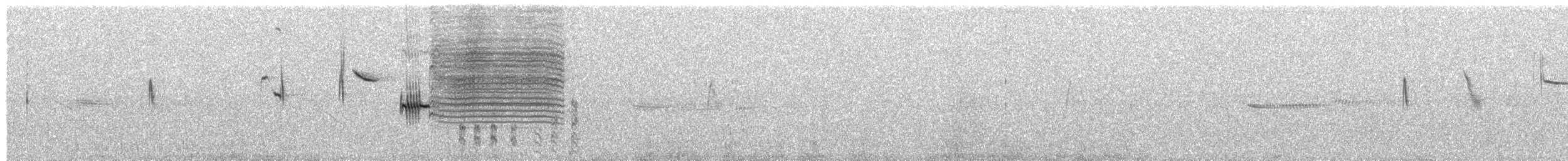 White-browed Meadowlark - ML523328781