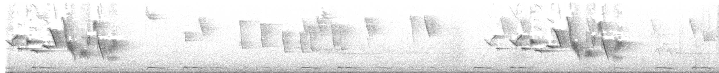 Flankenfleckenspelzer - ML523336081
