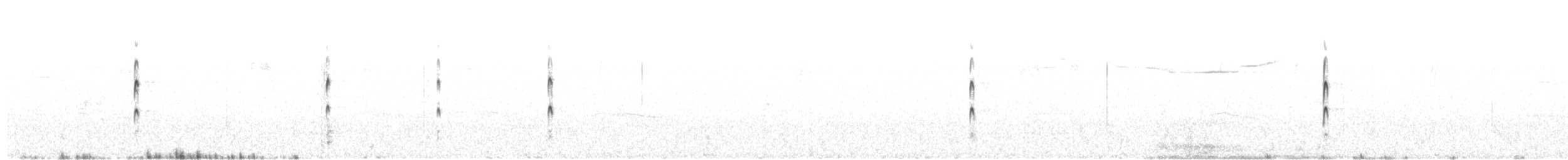 Каролинский крапивник - ML523347261