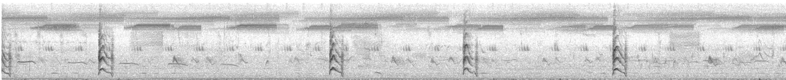 白眉秧雞 - ML523351001