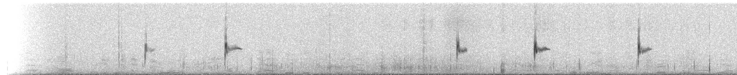 Rock Wren (Northern) - ML523387
