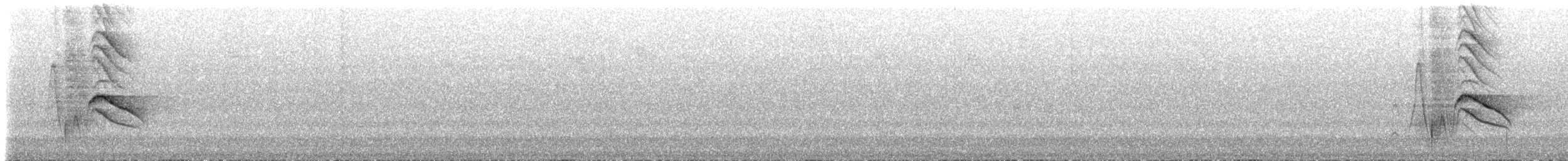 Weißbandhäher - ML523409241