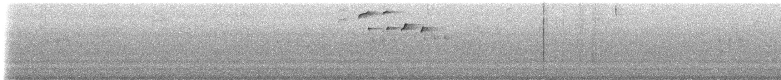 Band-tailed Fruiteater (signata) - ML523409371
