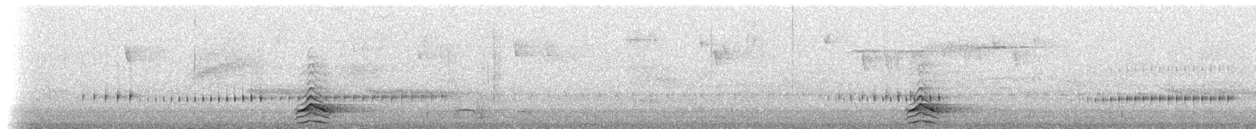 Tinamou à capuchon - ML523428061