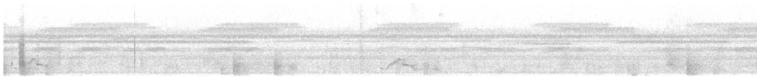 Pauraquenachtschwalbe - ML52343211