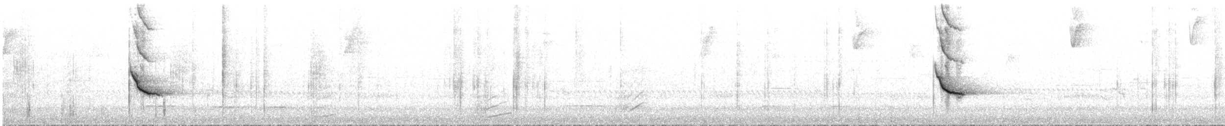 Weißbandhäher - ML523433031