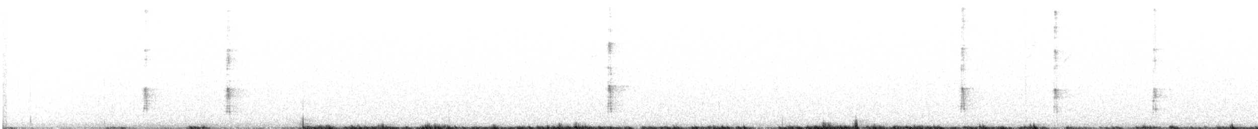 Nuttall's Woodpecker - ML523448421