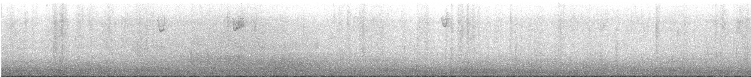 strnadec bělohrdlý - ML523475071