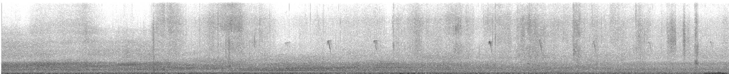 Black Phoebe - ML523476321