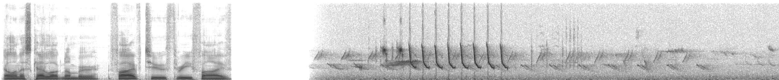 Picchion cramoisi - ML5235